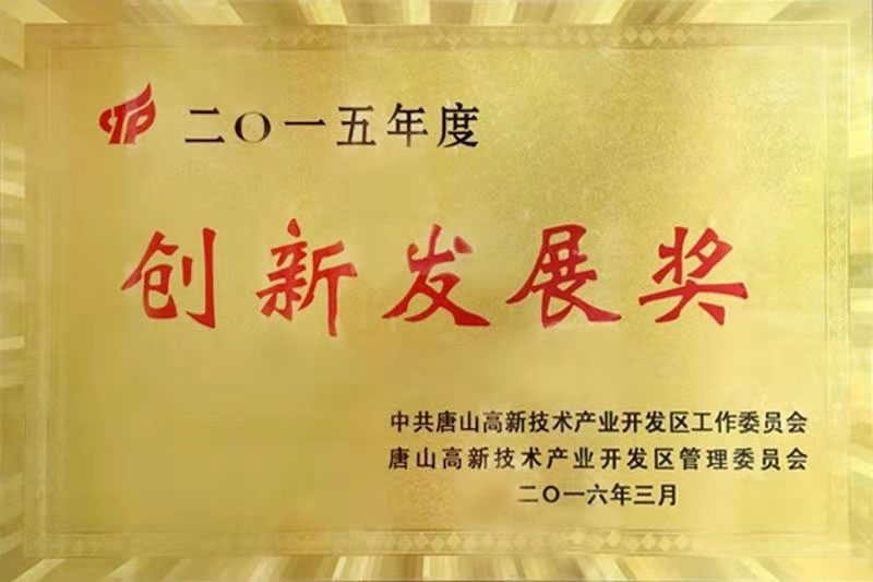 创新发展奖