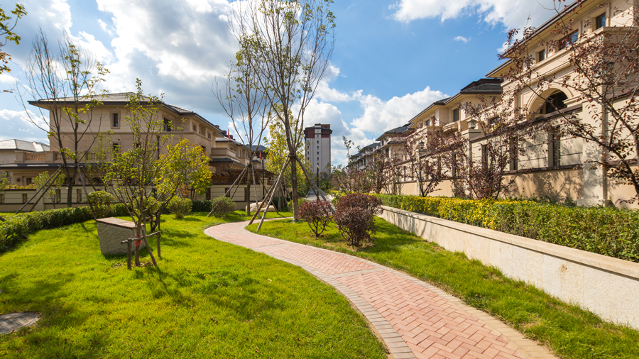 南山园区照片 (8)_副本.jpg 南山园区照片 (8)_副本.jpg