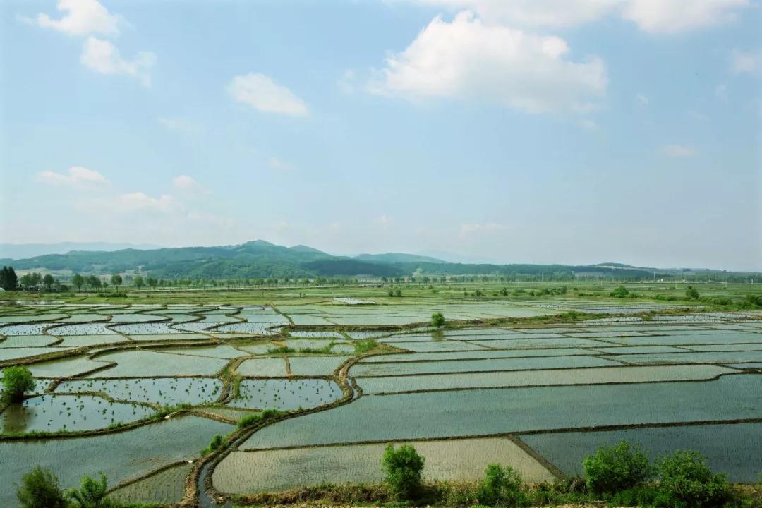 微信图片_20200222150824.jpg 微信图片_20200222150824.jpg