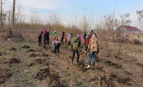 6 园林绿化公司晶双合作社工人辛勤劳作_副本.jpg 6 园林绿化公司晶双合作社工人辛勤劳作_副本.jpg