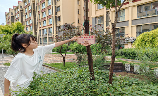 3_副本.jpg 3_副本.jpg