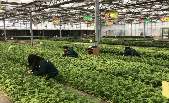 23.农业总公司参加“春风行动”宣传片拍摄现场_副本.jpg 23.农业总公司参加“春风行动”宣传片拍摄现场_副本.jpg