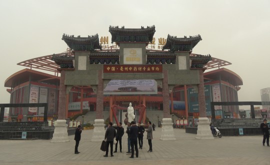 27.药业公司总经理杜海宇携团队考察中药材市场_副本.jpg 27.药业公司总经理杜海宇携团队考察中药材市场_副本.jpg