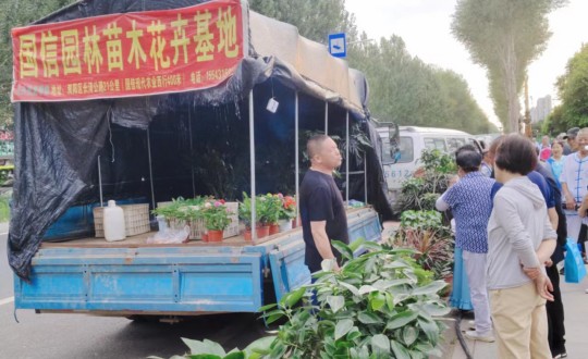 10.园林公司开展苗圃花卉巡回销售_副本.jpg 10.园林公司开展苗圃花卉巡回销售_副本.jpg