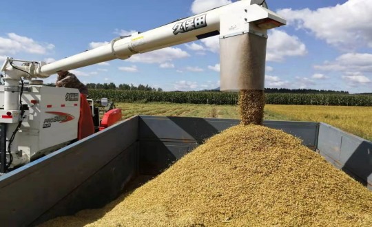 26.国信农业水稻基地开镰收割_副本.jpg 26.国信农业水稻基地开镰收割_副本.jpg