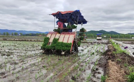 纸刊_副本.png 纸刊_副本.png