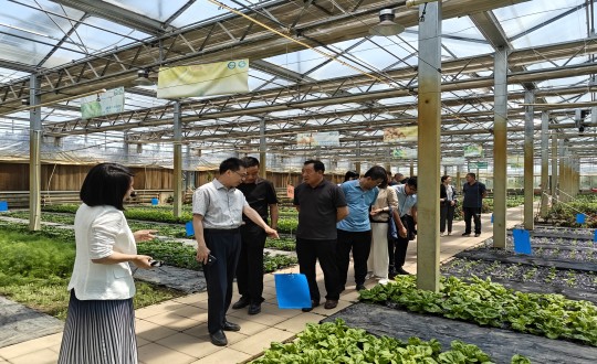 29.中国绿色食品发展中心相关领导莅临农业总公司考察调研_副本.jpg 29.中国绿色食品发展中心相关领导莅临农业总公司考察调研_副本.jpg