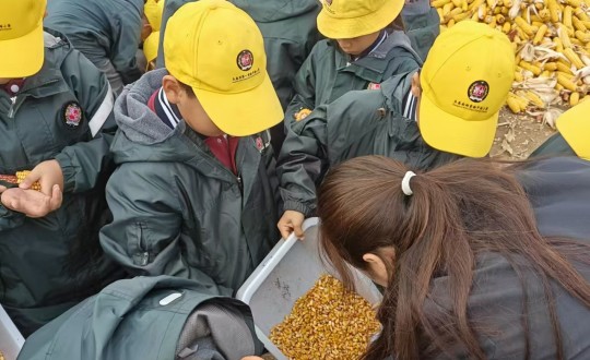 24.纸质刊用_副本.jpg 24.纸质刊用_副本.jpg