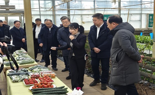 9.王岩董事长陪同双阳区委副书记、代区长姜楠一行至农业总公司参观考察_副本.jpg 9.王岩董事长陪同双阳区委副书记、代区长姜楠一行至农业总公司参观考察_副本.jpg