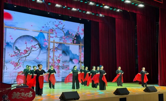 1.“百姓大舞台”文明实践项目首场演出现场_副本.jpg 1.“百姓大舞台”文明实践项目首场演出现场_副本.jpg